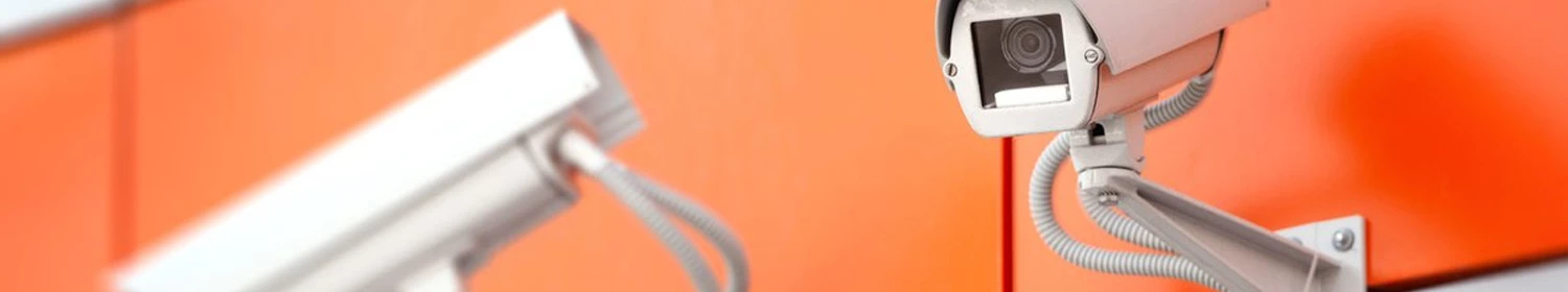 Новые возможности в Macroscop 3.2 Новые возможности в Macroscop 3.2