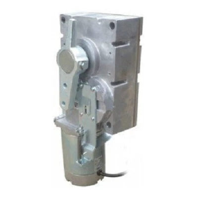 Моторедуктор G2081 G2081I (119RIG197)