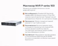 Macroscop NVR P-series 100