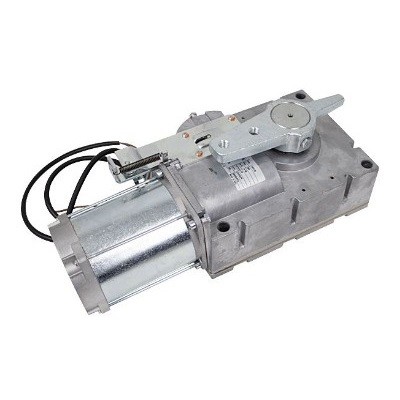 Моторедуктор G6000 G6000I (119RIG195)