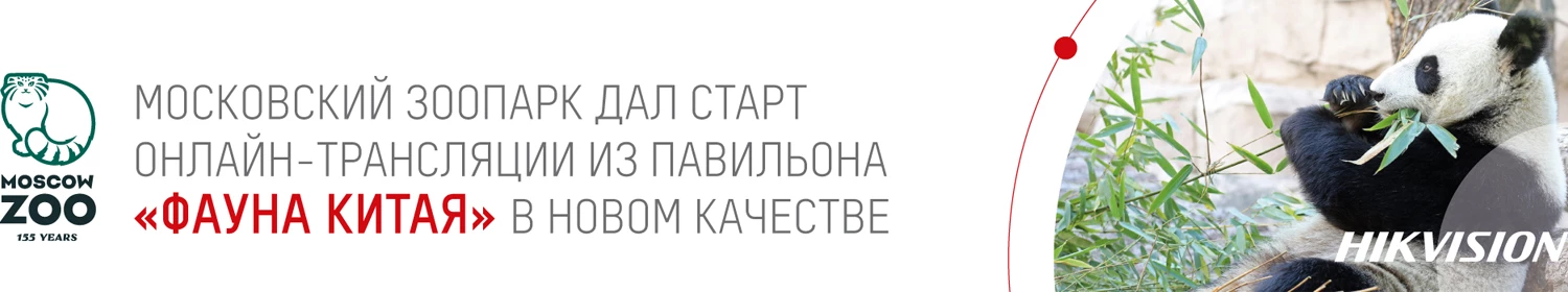 Начало нового высококачественного онлайн вещания из сектора «Китайская фауна» Московского зоопарка Начало нового высококачественного онлайн вещания из сектора «Китайская фауна» Московского зоопарка