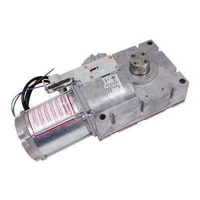 Моторедуктор G4040 G4040I (119RIG198)