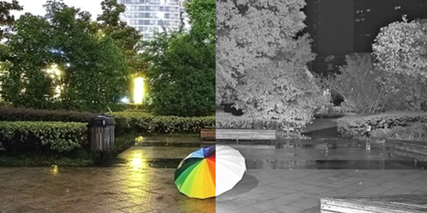 Grafiki-a.jpg Grafiki-a.jpg