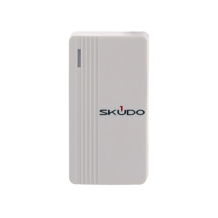 (SK-R-254) SK-RP100E (белый)